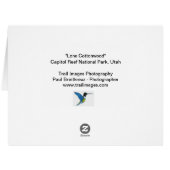 "単独コットンウッド" (裏面横)