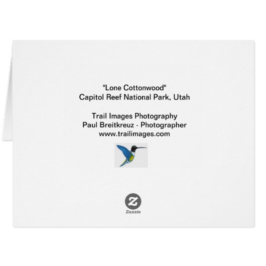 "単独コットンウッド" (裏面横)