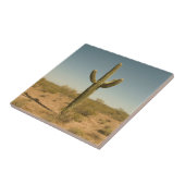 単独サボテン タイル (側面)