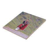 単独スコットランドの風笛吹奏者、高地、スコットランド タイル (側面)