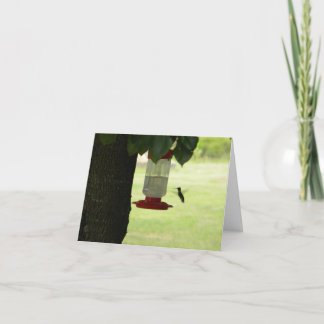 単独ハチドリ カード