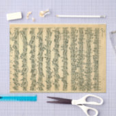 単独バイオリンのためのBach Chaconneの原稿 薄葉紙 (クラフト)