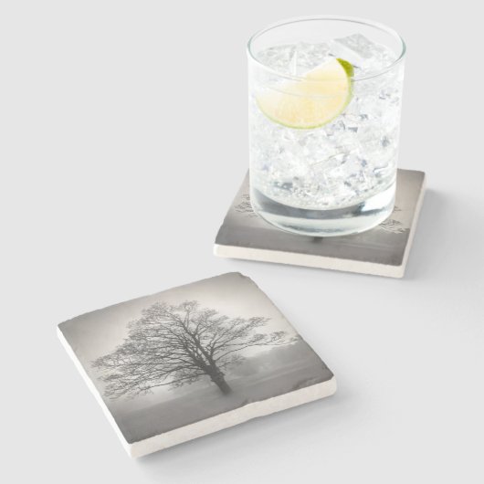 単独木の石のコースター ストーンコースター (横)