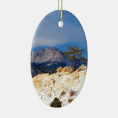 単独木 セラミックオーナメント (右)