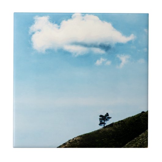 単独 タイル (正面)