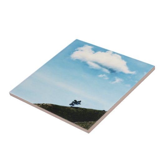 単独 タイル (側面)