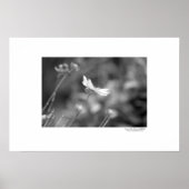 単独 ポスター (正面)