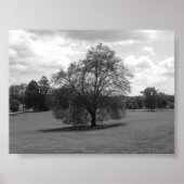 単独 ポスター (正面)