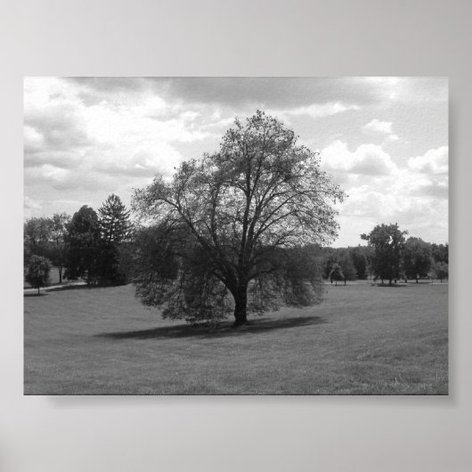 単独 ポスター (正面)