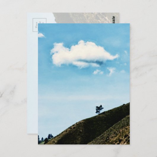 単独 ポストカード (正面/裏面)