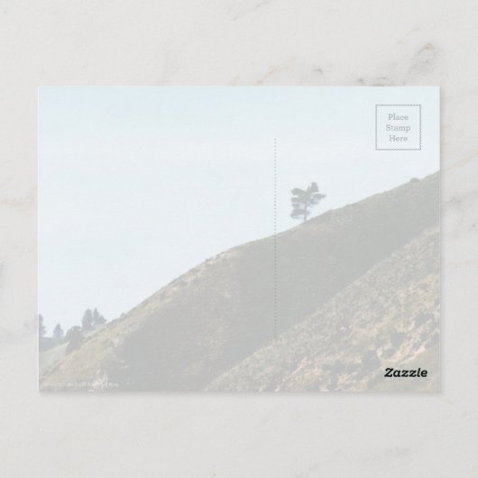 単独 ポストカード (裏面)