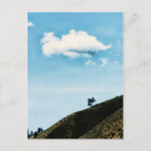 単独 ポストカード (正面)