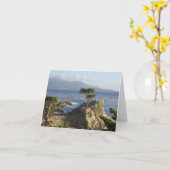 単独Cypress カード (黄色い花)