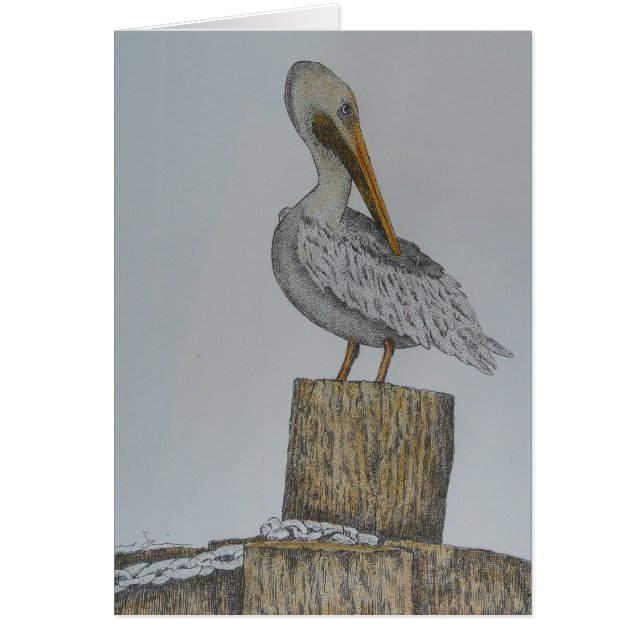 単独Pelly (正面)