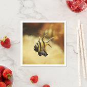 単生の線条虫 スタンダードカクテルナプキン (インサイチュ)