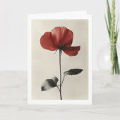 単生の赤花 招待状 (正面)