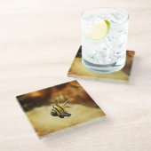 単生ストリッピーアンジェルフィッシュ ガラスコースター (アングル)