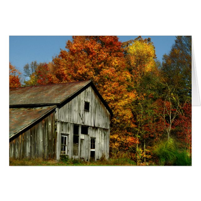 単純な国 (正面横)