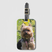 単純な引き出しバッグ ラゲッジタグ (正面縦)