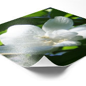 単純に白 フォトプリント            (角)