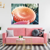 単細胞藻類の珪藻。 キャンバスプリント (インサイチュ (リビング))