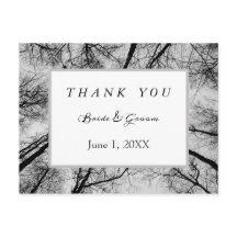 単色の木のてっぺん、ありがとう