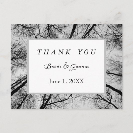 単色の木のてっぺん、ありがとう ポストカード (正面)