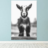 単色優美魅力的ベビーヤギポートレート キャンバスプリント (インサイチュ (ウッドフロア))