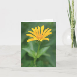 単色黄色の花のノートカード サンキューカード