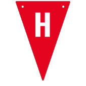 単語の世界の誕生日の旗の旗 バンティングフラッグ (第2の旗)