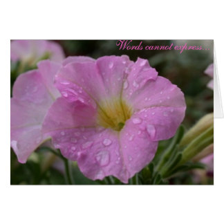 単語は…表現できません