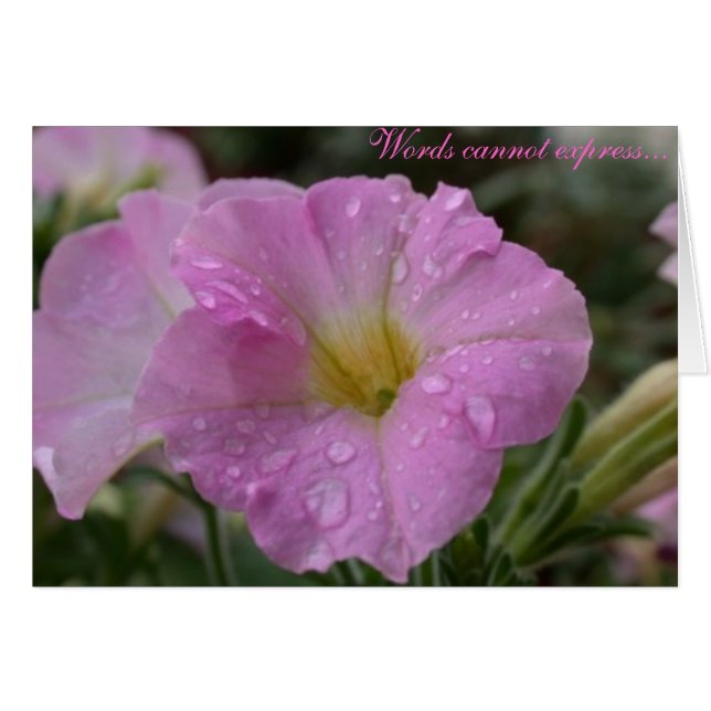 単語は…表現できません (正面横)