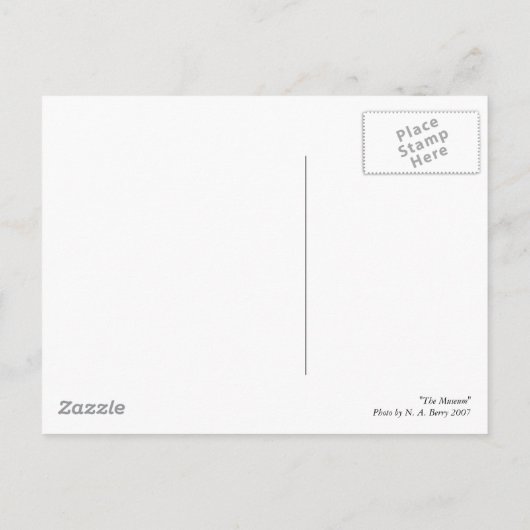 博物館 ポストカード (裏面)