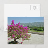 博物館、西安、中国 ポストカード (正面/裏面)