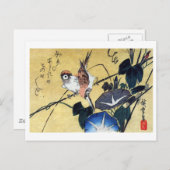 博繁雀と朝顔 ポストカード (正面/裏面)