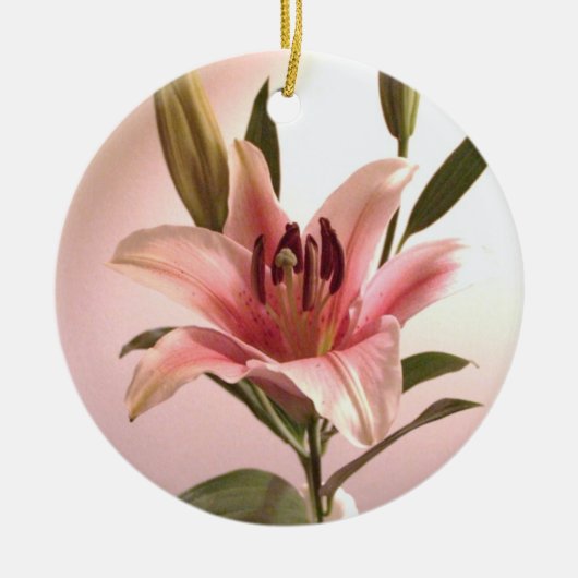 占星家のオーナメント セラミックオーナメント (正面)