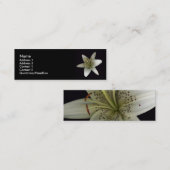 占星家のプロフィールカード スキニー名刺 (正面/裏面)