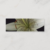 占星家のプロフィールカード スキニー名刺 (裏面)