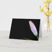 占星家ユリの芽 カード (黄色い花)