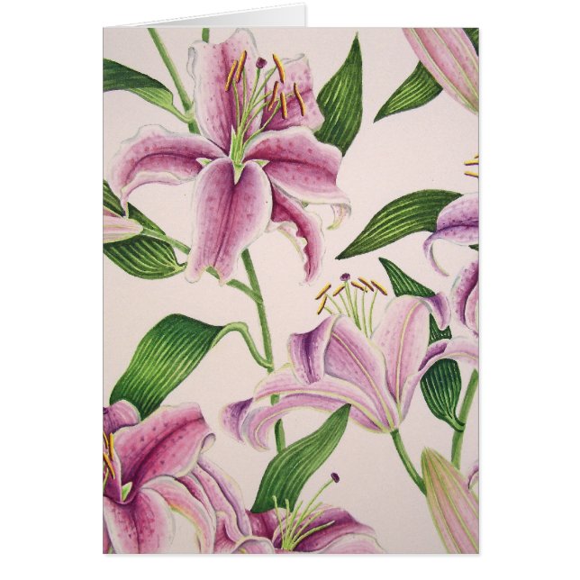 占星家ユリ (正面)