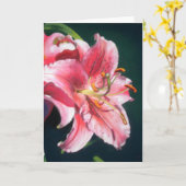 占星家ユリ カード (黄色い花)