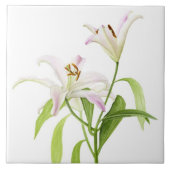 占星家ユリ タイル (正面)