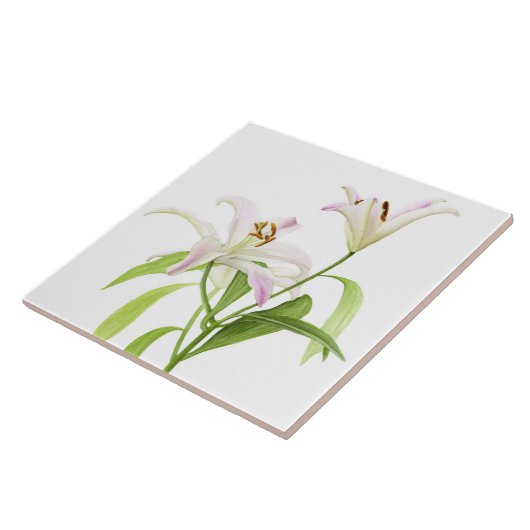 占星家ユリ タイル (側面)