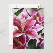 占星家ユリ ポストカード (正面/裏面)