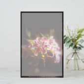 占星家ユリ#31 便箋 (スタンド正面)