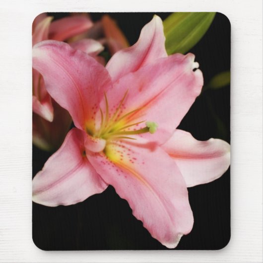 「占星家」のマウスパッド マウスパッド (正面)