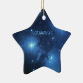 (占星術の)十二宮図の印のアクエリアス セラミックオーナメント (右)