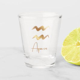 〔占星術の〕十二宮図コレクション – アクエリアス ショットグラス