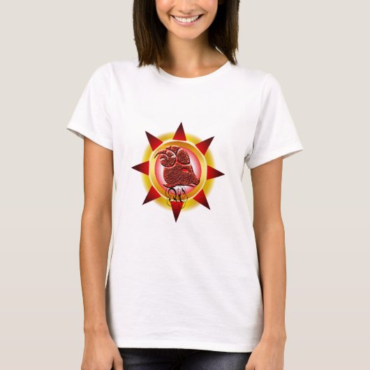 〔占星術の〕十二宮図サインアリーデザイン Tシャツ (正面)