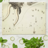 「〔占星術の〕十二宮図サイン：タウロス」キッチンタオル キッチンタオル (折り畳み)